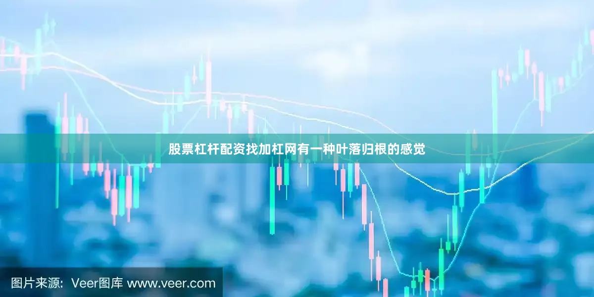 股票杠杆配资找加杠网有一种叶落归根的感觉