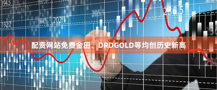 配资网站免费金田、DRDGOLD等均创历史新高